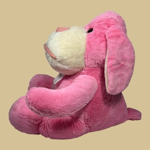 Cachorro Lulu - Imagem 2