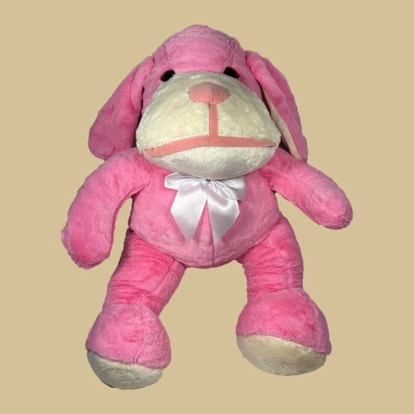 Cachorro Lulu - Imagem 3