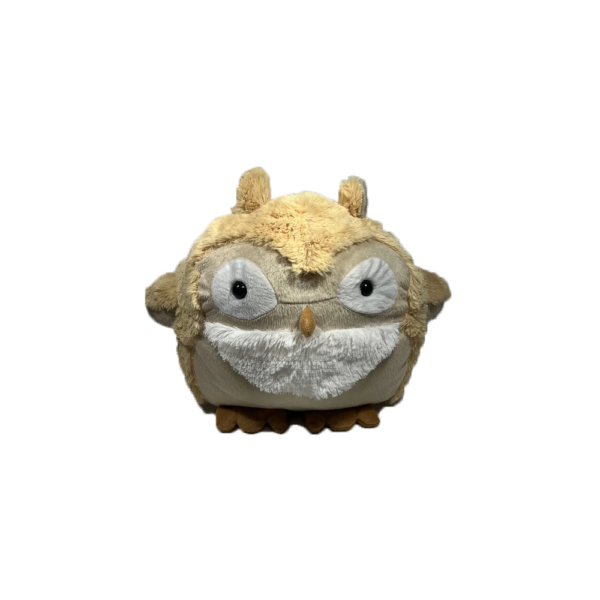Coruja