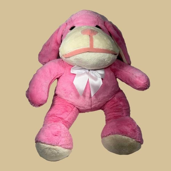 Cachorro Lulu - Imagem 4
