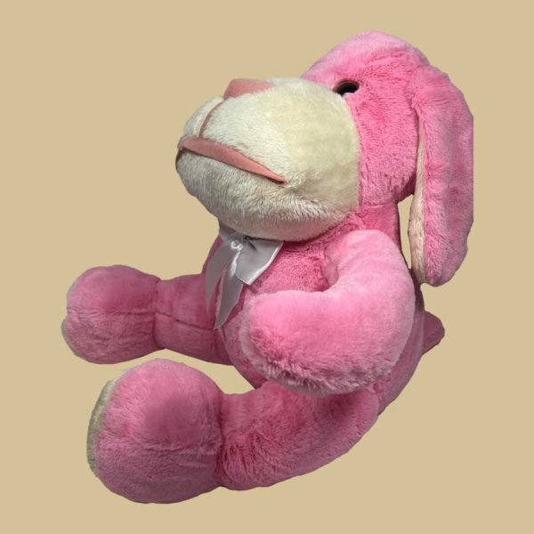 Cachorro Lulu - Imagem 5
