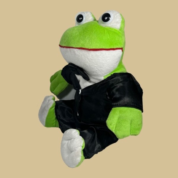 Sapo Noivo - Imagem 2