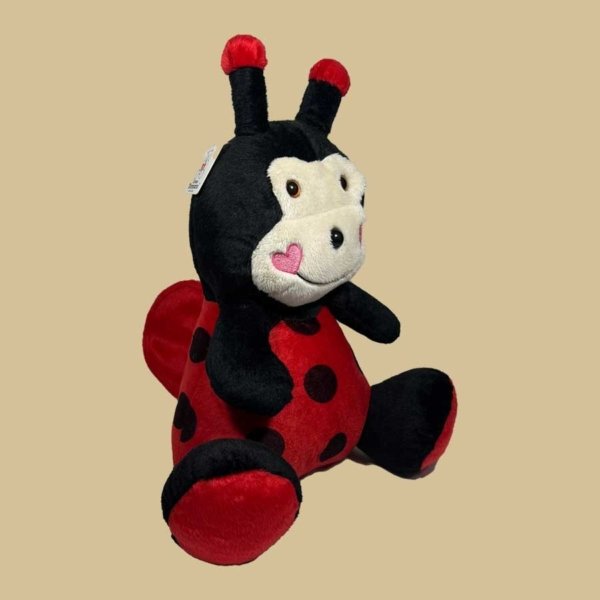 Joaninha - Imagem 2