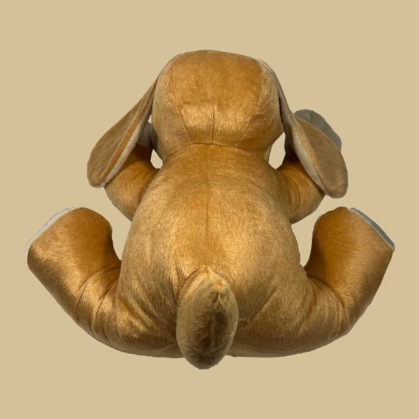 Cachorro Orelhão - Imagem 3