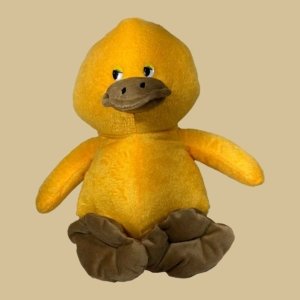 Patinho