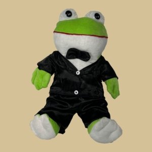 Sapo Noivo