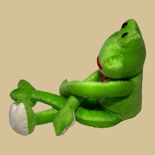 Sapo Pernalonga - Imagem 3
