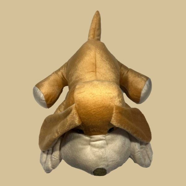 Cachorro Orelhão - Imagem 4