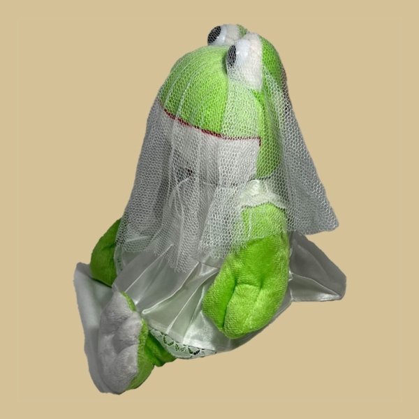 Sapo Noiva - Imagem 4