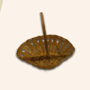 Cesta X