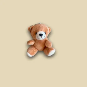 Urso Carinhoso